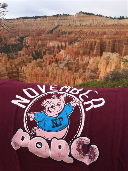 Brice Canyon