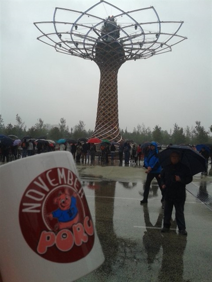 expo_1